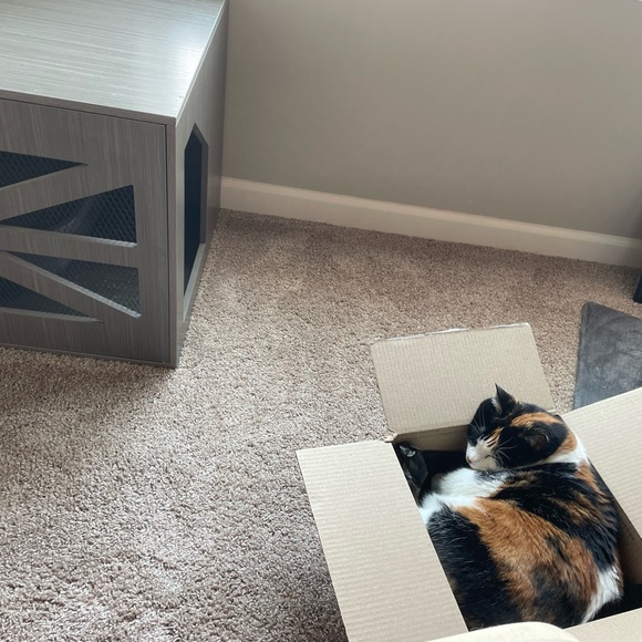 SMOKE FREE, PET FRIENDLY💞🤗😻Plz Read♥️ - Picture 9 of 10